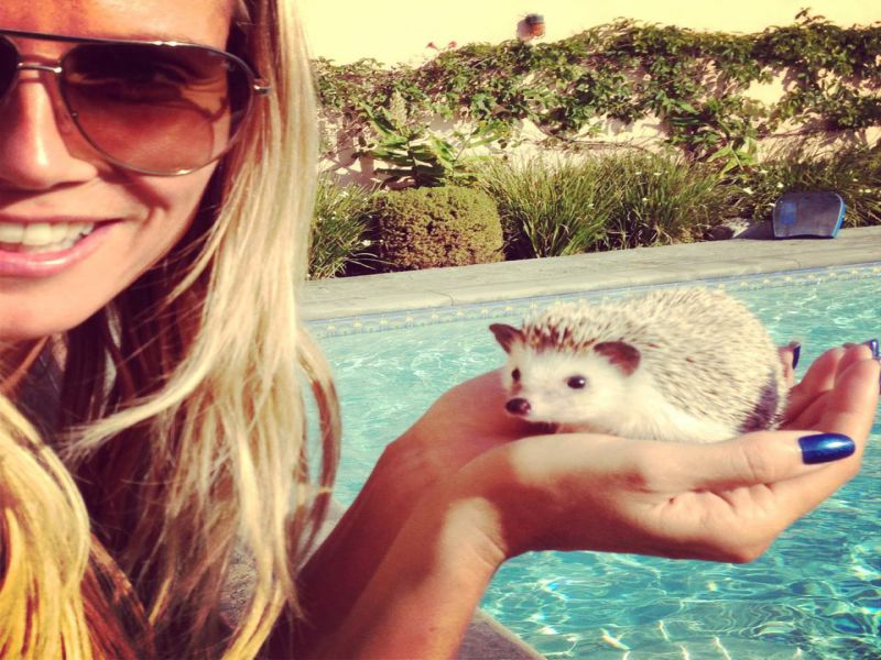 Ljubko! Heidi Klum: Rešila ježka!