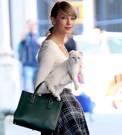 Zakaj Taylor Swift s seboj nosi svojo mačko?