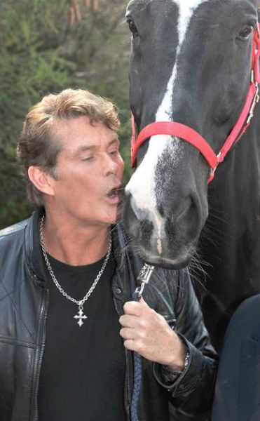 Pijanski David Hasselhoff: V krvi je imel rekordno količino alkohola