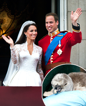 POSVOJILA Princ William in Kate sta postala ponosna starša