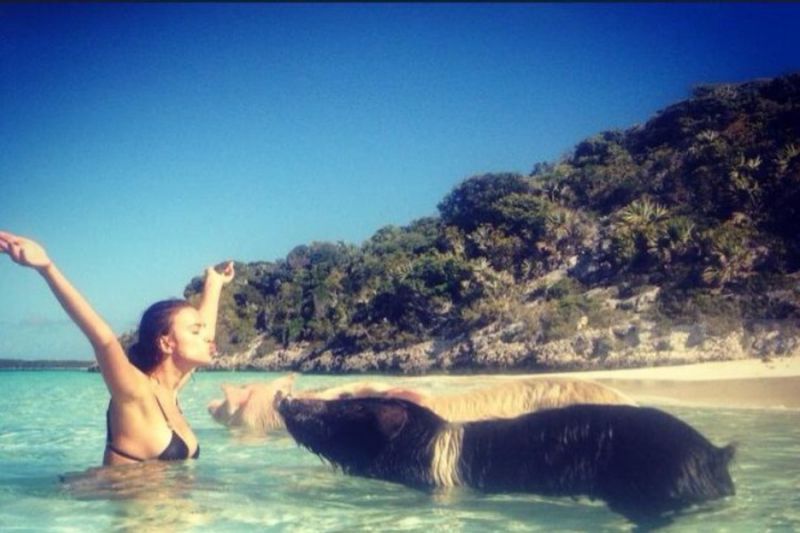 Foto! Irina Shayk: Kopala se je s svinjami