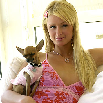 Na posestvu Paris Hilton spet ujeli vsiljivca