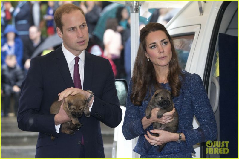 Foto! Kate in William: Kako sta prizemljena!