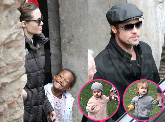 Angelina Jolie zanikala: Nisem noseča!