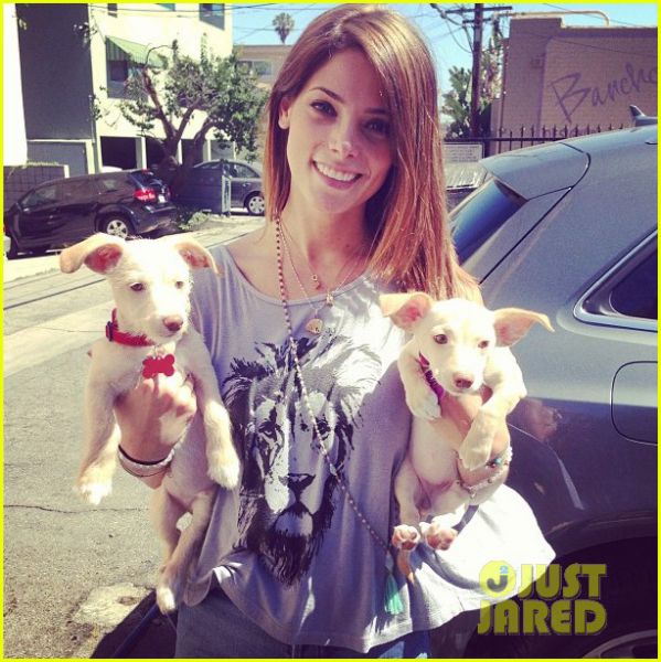 Ashley Greene: Njena družinica se je povečala!