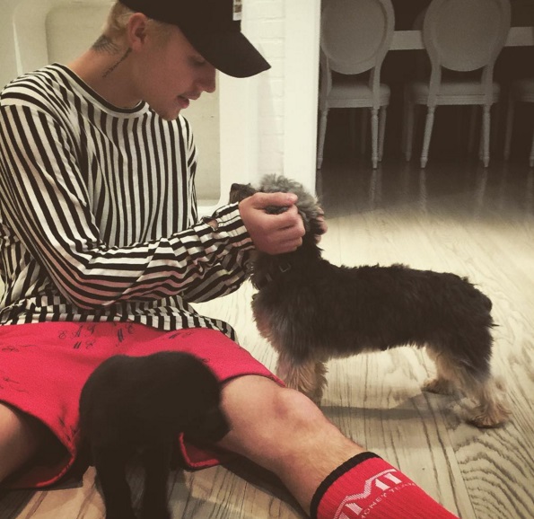 Tako ljubek je novi ljubljenček Justina Bieberja