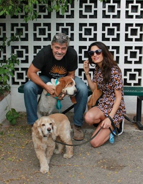 George in Amal Clooney sta ponovno posvojila