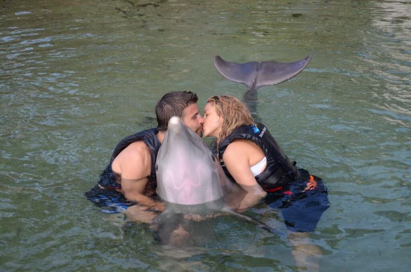 Uau! Shakira in Gerard: Ljubezen med delfini