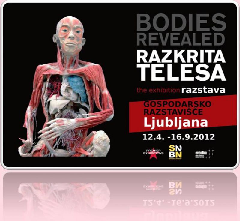 Prihaja fascinantna razstava Razkrita telesa