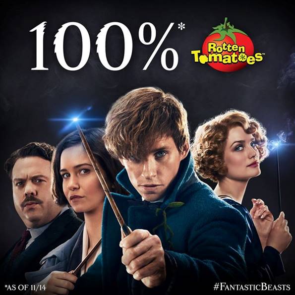 Film Magične živali dobil odlične ocene