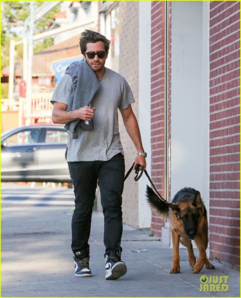 Opa! Jake Gyllenhaal se je za novo vlogo nabildal
