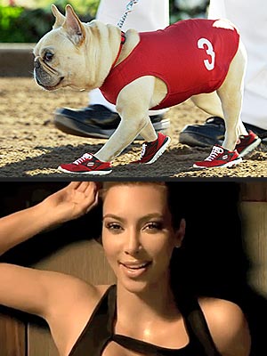 BIZARNO Namesto Kim Kardashian imajo raje buldoga!