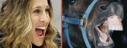 Sarah Jessico Parker primerjali s konjem