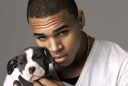 Chris Brown se kesa