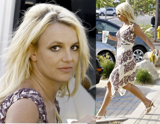 Britney in njeno razkošno življenje