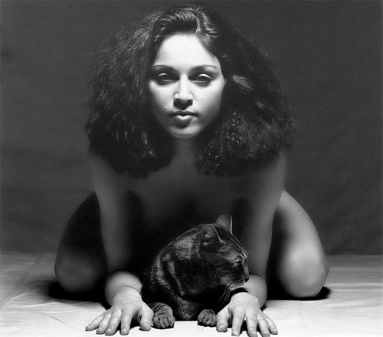 Madonna svojo muco pokrila z muco