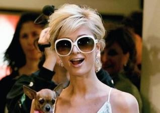 Paris Hilton nudi razkošje svojim ljubljenčkom