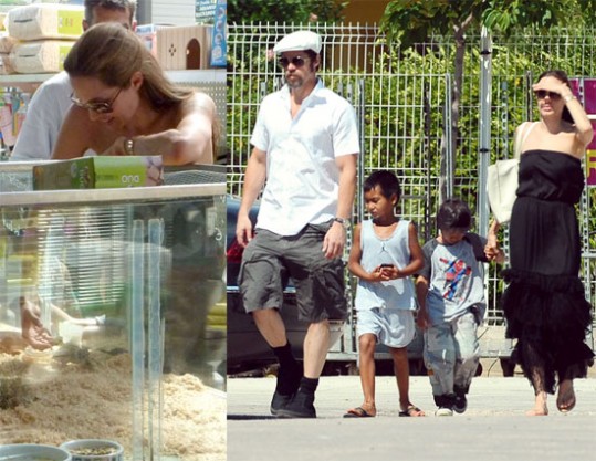 Hrčki našli nov dom pri družini Jolie-Pitt