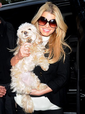 Jessica Simpson o izgubi psičke