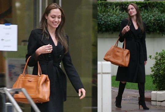 Angelina Jolie: Turistka na delu