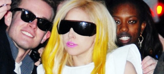 ŠOK Lady GaGa polna modric