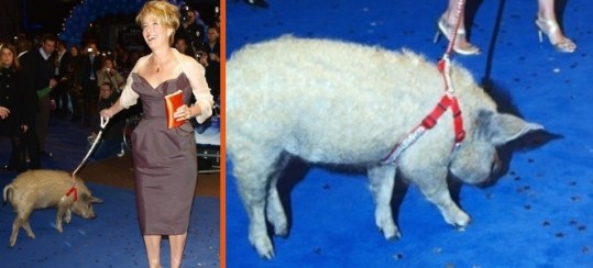 Emma Thompson: Namesto moškega na premiero peljala prašiča