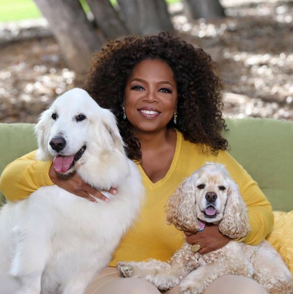 Oprah Winfrey bo imela novo serijo