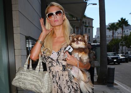 Paris Hilton: Nad slabo voljo s celodnevnim zapravljanjem po trgovinah