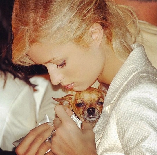 Žalostno! Paris Hilton ostala brez nje