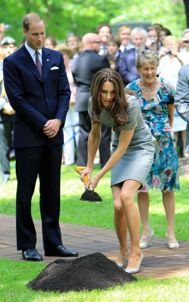 FOTO Princ William in Kate posadila svoje drevo ljubezni