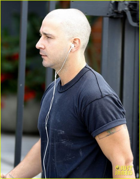Ojoj! Shia, kaj si naredil?