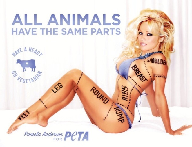 HOT! Pamela Anderson proti mučenju živali protestira z goloto