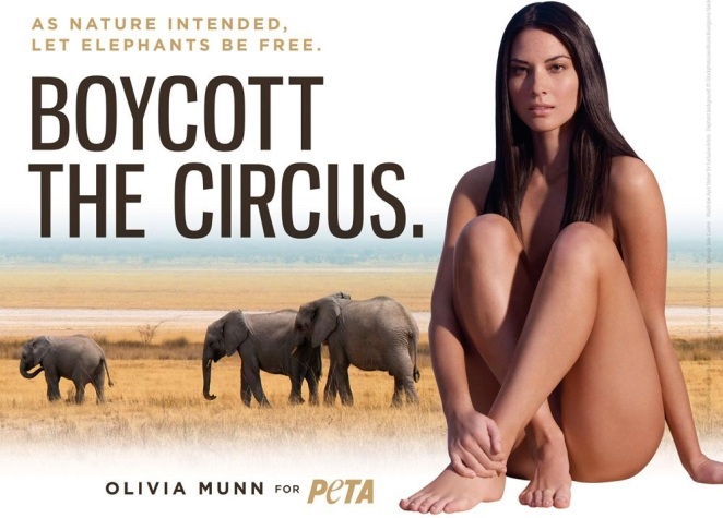 Gola Olivia Munn v boju za pravice slonov