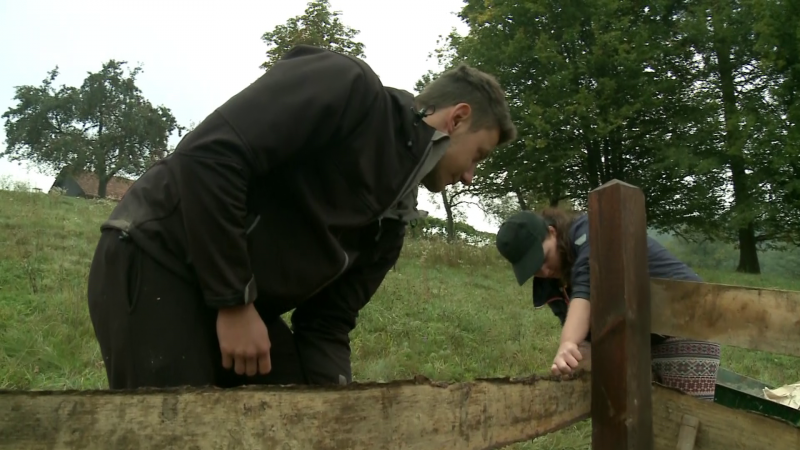 Bo Niku v Kmetija: Nov začetek brez Maje res lažje?
