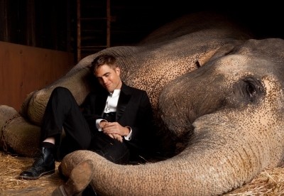 Robert Pattinson: Močno verjame v ljubezen na prvi pogled!