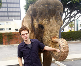 Robert Pattinson: Na snemanju 'WFE' se je zaljubil!