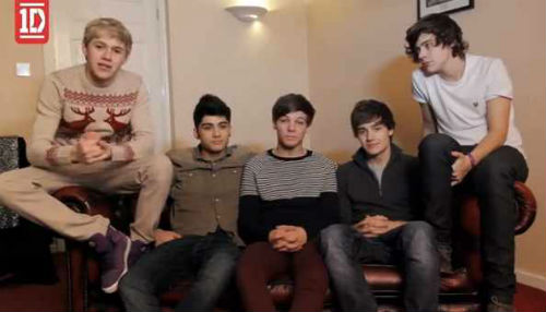 17 dejstev, ki jih morda ne veš o One Direction!