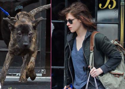 FOTO: Kristen Stewart je na sprehod peljala svojega in Robovega psa!