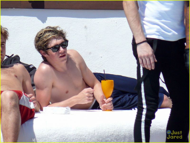 OPA! One Direction: Niall zgoraj brez, Liam išče hišo!