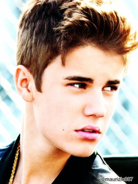 Justin Bieber: So mu ukradli registrsko tablico?!