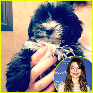 Ljubko! Miranda Cosgrove: Spoznaj njeno novo psičko!