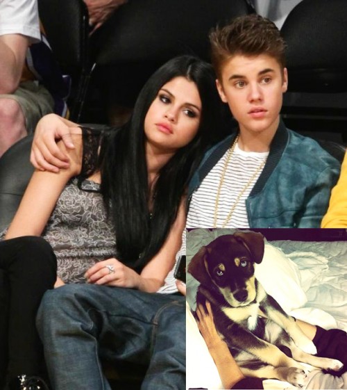 Vroče! Justin Bieber: Je Seleni Gomez kupil psa?!