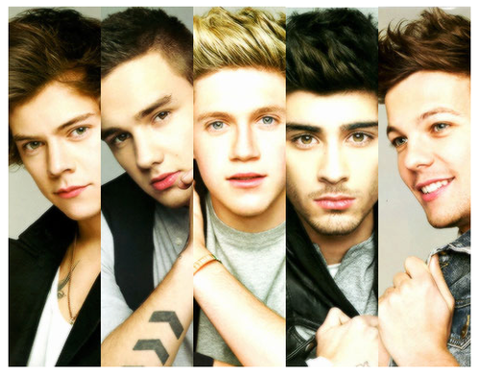 POZOR! Directionerji, pripravlja se shod za One Direction!