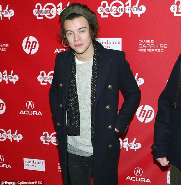 Harry Styles: Zapravljal je za umetnost!