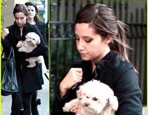 Ashley Tisdale: Navdušena, ker je spoznala Katie Holmes