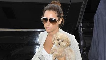 Ashley Tisdale: Spet je zaposlena s snemanjem 'Hellcats'