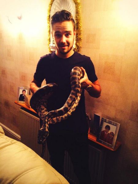 Liam Payne: Spoznal je novo prijateljico!