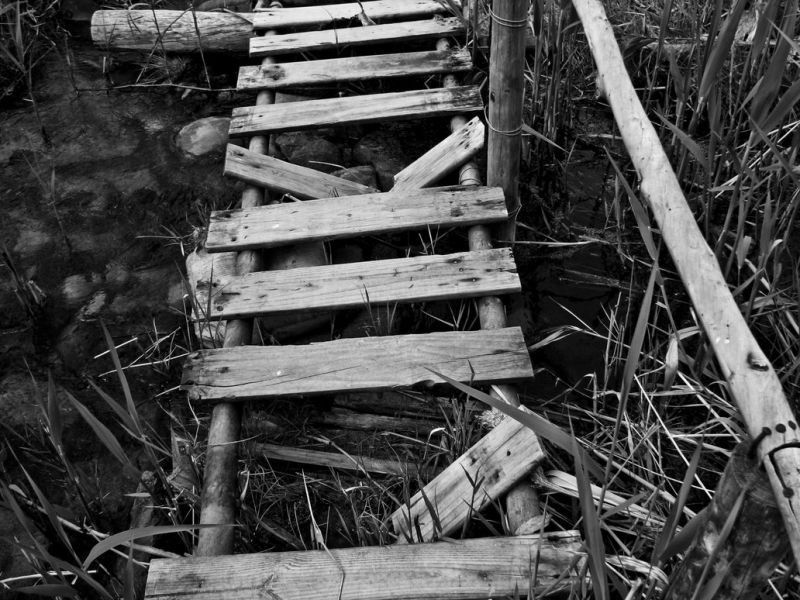 Misel dneva: O pozitivnem razmišljanju