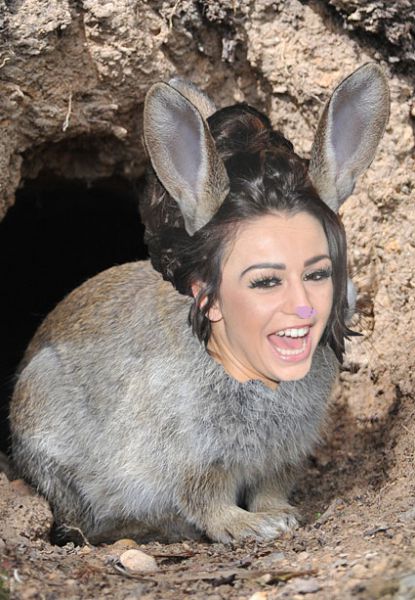 Cher Lloyd: Videti sem kot zajec!