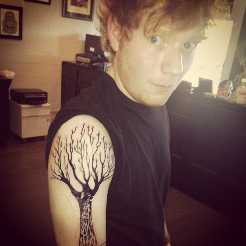 Poglej! Ed Sheeran: Ima ogromen nov tatu!